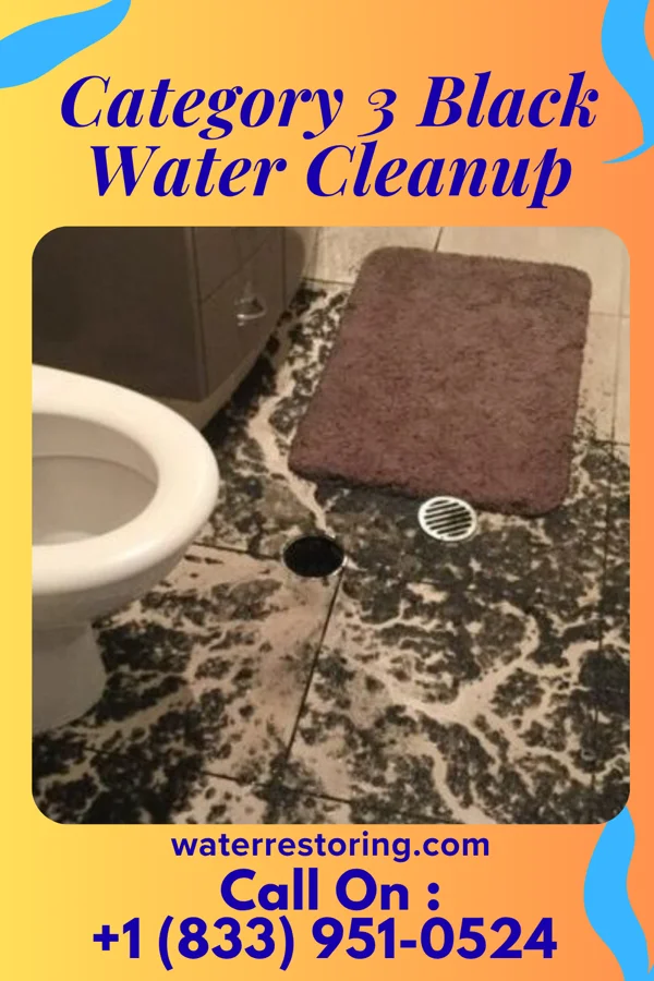Category 3 Black Water Cleanup in Whitewater, WI