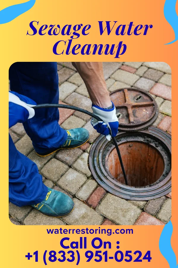 Sewage Water Cleanup in Whitewater, WI